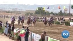 Algeria marks independence with horse-riding festival