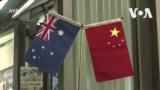 澳洲期望在對中國牛肉和龍蝦的出口障礙上取得進展
