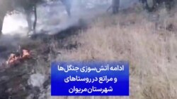 ادامه آتش‌سوزی جنگل‌ها و مراتع در روستاهای شهرستان مریوان