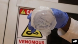 FILE - Snake antivenom is seen in a container at Kenya Snakebite Research and Intervention Centre in Nairobi, Kenya, April 5, 2024.