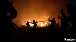 atrogasci pokušavaju da ugase šumski požar koji je gorio u blizini sela Makri u regionu Evros, Grčka, 22. augusta 2023.
