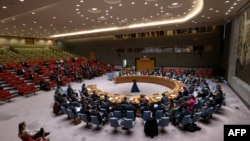 Заседание Совета Безопасности ООН по Украине. 10 января 2024 г.