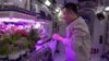 Չինաստանի «Շենչժոու-17» տիեզերանավի անդամներն Ամանորը դիմավորել են՝ համտեսելով տիեզերքում աճեցված բանջարեղենը