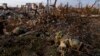 Rossiya Ukrainada ulkan talafot ko'rgan