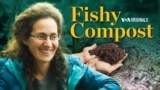 Fishy Compost