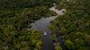 New Quest Aims to Settle Debate Over Which River Is Longest – Amazon or Nile 