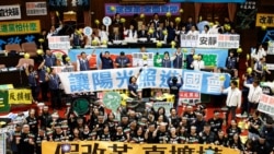 國會改革覆議案敗陣 台灣民進黨: 決戰釋憲