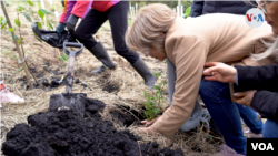 Una familia plantando un árbol sobre cenizas.