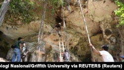 Sebuah tim arkeolog dan peneliti dari Pusat Penelitian Arkeologi Nasional dan Universitas Griffith bekerja di gua kapur Leang Bulu' Sipong 4 di Sulawesi Selatan. (Foto: Pusat Penelitian Arkeologi Nasional/Griffith University via REUTERS)