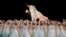 Artists perform during the closing ceremony of the 19th Asian Games in Hangzhou, China, Oct. 8, 2023. 