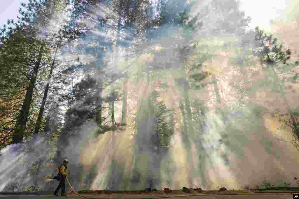 A firefighter monitors a burn operation on Highway 32 to combat the Park Fire near Forest Ranch, California, July 28, 2024.