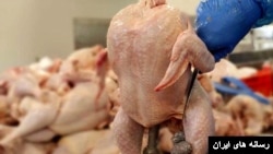 کارشناسان از احتمال کمیاب شدن مرغ در هفته‌های منتهی به پایان سال خبر می‌دهند.
