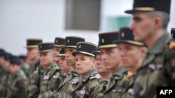 Tentara cadangan "Guepard" dari RIMA ketiga (Resimen Infantri Marinir) mendengarkan pidato Menteri Pertahanan Prancis Jean-Yves Le Drian (tak terlihat) di Vannes, 5 Februari 2013. (Frank PERRY / AFP)