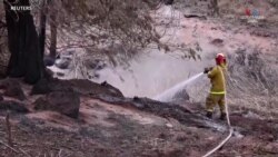 Հրշեջները դեռ պայքարում են մարել կրակը Հավայան կղզիներում_1.mp4