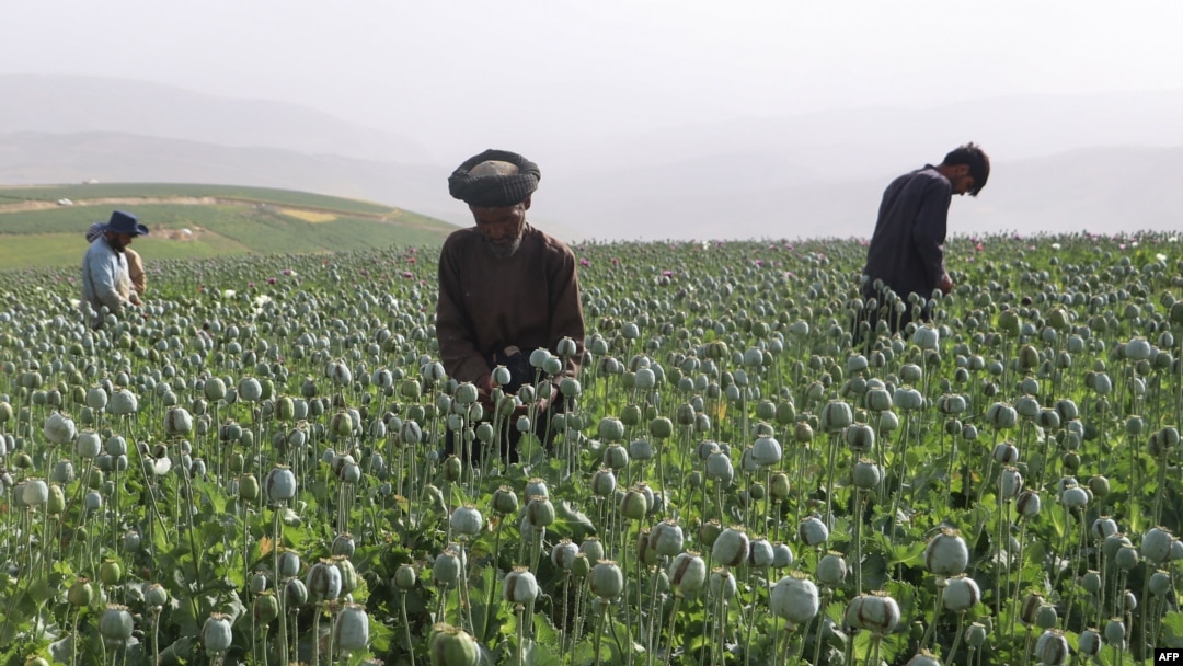 Badaxshon, Afg'oniston, 30-iyun, 2024