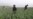 UN finds surge in Afghan opium poppy cultivation despite Taliban ban