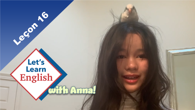 Leçon 16: Que peuvent faire nos animaux de companie?