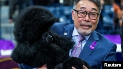 Sage is held by its handler after winning the Best in Show Group during the 148th Westminster Kennel Club Dog Show at the USTA Billie Jean King National Tennis Center, in New York City, May 14, 2024.