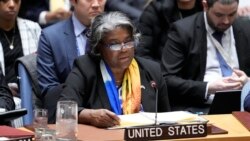 EE.UU. veta resolución que habría permitido adhesión plena de Palestina a las Naciones Unidas