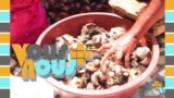 Vous et Nous : des élevages d'escargots écologiques en Côte d'Ivoire