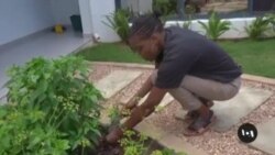 Businesswomen Envision a Greener Mozambique