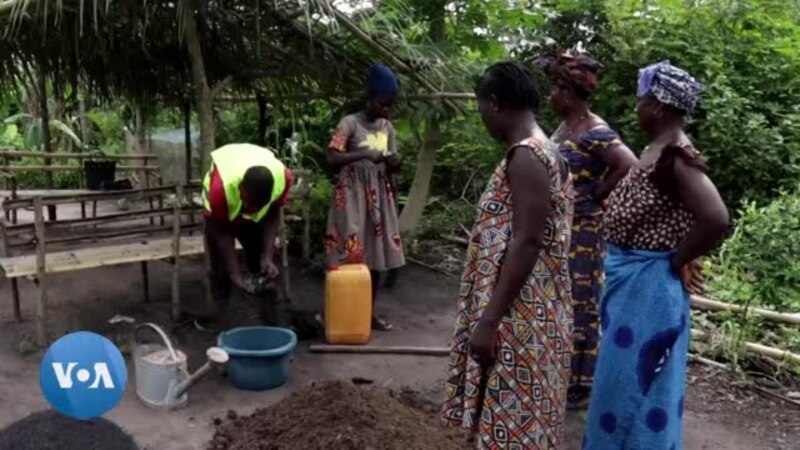Vulgarisation des pratiques agro-écologiques auprès des paysannes togolaises