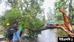 ঘূর্ণিঝড় মোখার আঘাতে গাছ পড়ে আছে রাস্তায়
