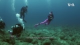Women Scuba Divers
