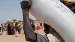 Famine looms for millions in South Sudan, Chad