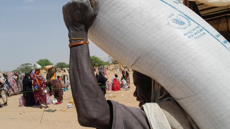 Dans le village tchadien de Koufroun, 20.000 réfugiés soudanais en grand péril