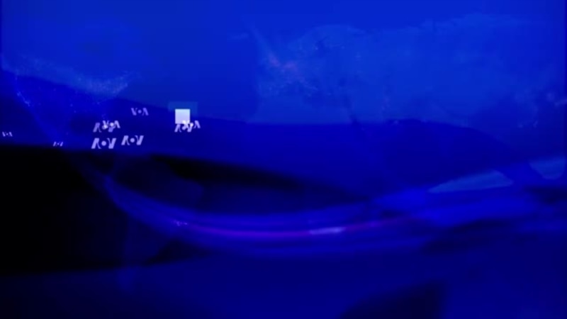 Kelompok Militan Hamas Bebaskan Dua Sandera AS