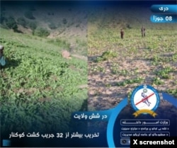 A Taliban Interior Ministry post on social media platform X says that poppies were eradicated from 32 acres of land in six Afghan provinces.