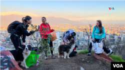 Otros chilenos y sus perros se han unido al empeño de San y su tutor Gonzalo Chiang, para limpiar espacios públicos y proteger el medio ambiente.