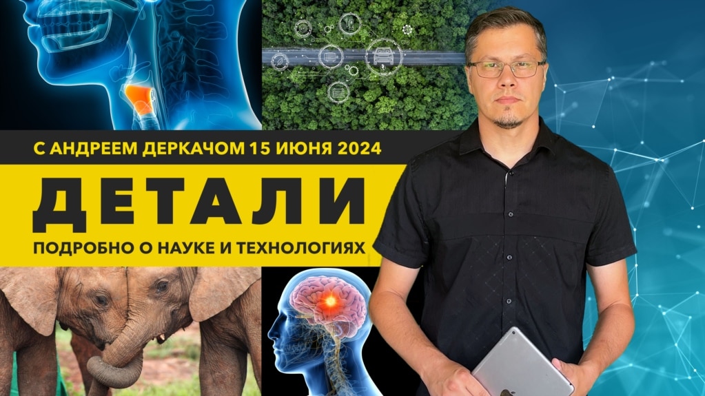 Дорога, заряжающая электромобили, и устройство, возвращающее способность говорить / “Детали”