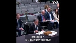 布林肯：美与盟友前所未有的团结一致应对中、俄等挑战 