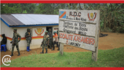 Africa 54: Continuing Conflict in Eastern DRC Pushes More People to Seek Refuge in Camps & More