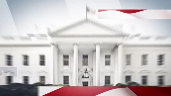 VOA Te Explica | ¿En qué se diferencian los caucus de las primarias en EEUU?