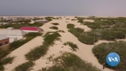 Sandstorms Swallowing Somali Coastal Town 