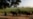India’s Millions of Dairy Farms Creating Tricky Methane Problem