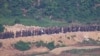 နယ်စပ်ကျော်ဝင်လာတဲ့ မြောက်ကိုရီးယားစစ်သားတွေကို တောင်ကိုရီးယား ပစ်ခတ်သတိပေး