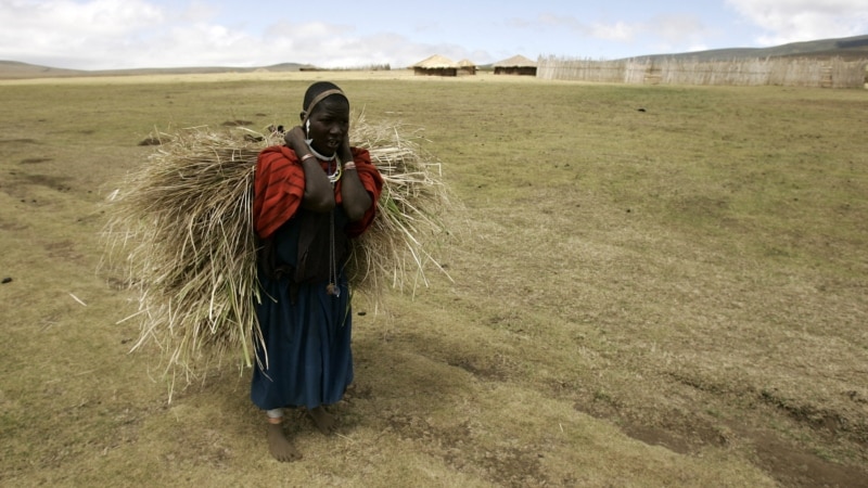 HRW to Tanzania: Stop forcing indigenous tribes off ancestral lands