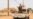Mali army, Russian allies suffer heavy losses in country's north, sources say