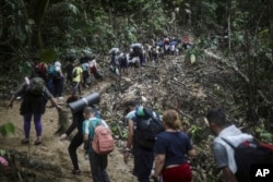 FILE - Migrants walk across the Darien Gap from Colombia to Panama on their long and difficult journey to reach the United States, on May 9, 2023. (AP Photo/Ivan Valencia)