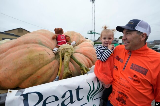 Travis Gienger of Anoka, Minn., holds his two-year-old daughter Lily while looking at his pumpkin before it was weighed at the Safeway 50th World Championship Pumpkin Weigh-Off in Half Moon Bay, Calif., Monday, Oct. 9, 2023. (AP Photo/Eric Risberg)