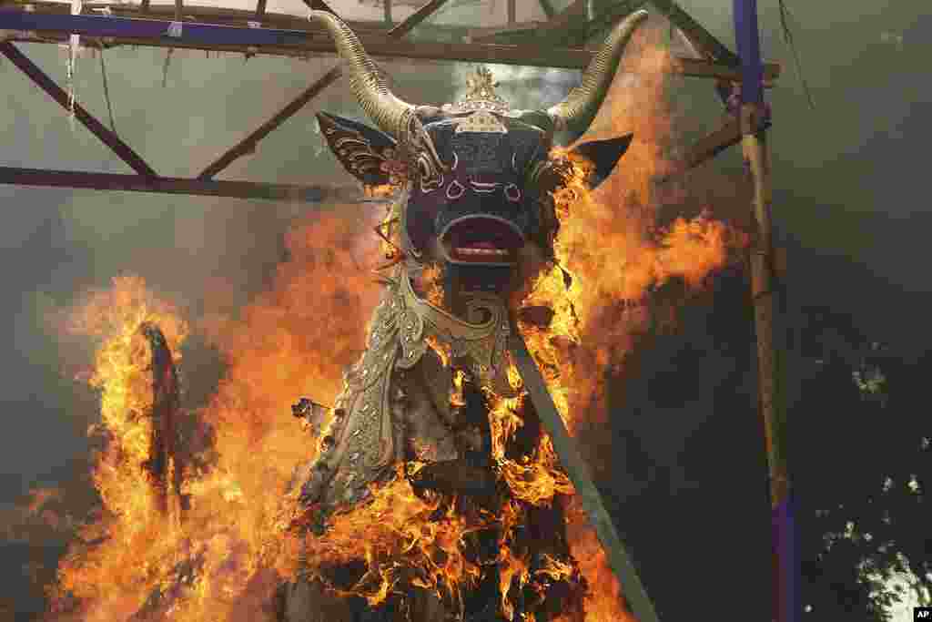 A giant effigy in form of a bull, with the coffin containing the body of Tjokorda Rai Dharmawati, a member of Ubud royal family, is in flames during a Balinese royal cremation ceremony called "pelebon" in Ubud, Bali, Indonesia.