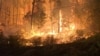 Thousands Flee Canadian Wildfires; British Columbia Under State of Emergency