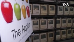 苹果早期产品在加利福尼亚拍卖 科技古董料将吸引藏家不惜重金购得