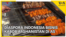 YT Thumb - Liputan FEATURE - Liputan FEATURE