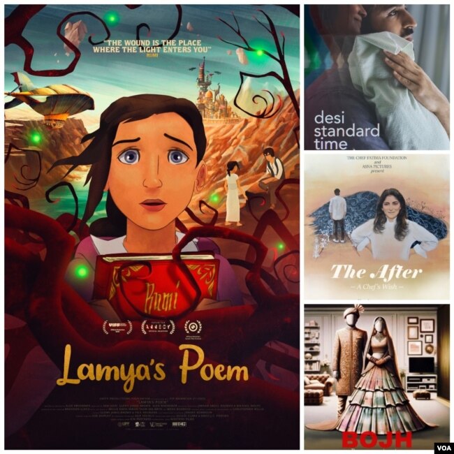 رنگ فلم ہیوسٹن میں ایوارڈز حاصل کرنے والی فلمیں