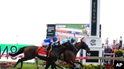 FILE - National Treasure, right, with jockey John Velazquez, beats Blazing Sevens, with jockey Irad Ortiz Jr., wins the 148th Preakness Stakes horse race at Pimlico Race Course, May 20, 2023, in Maryland. (AP Photo/Julio Cortez)